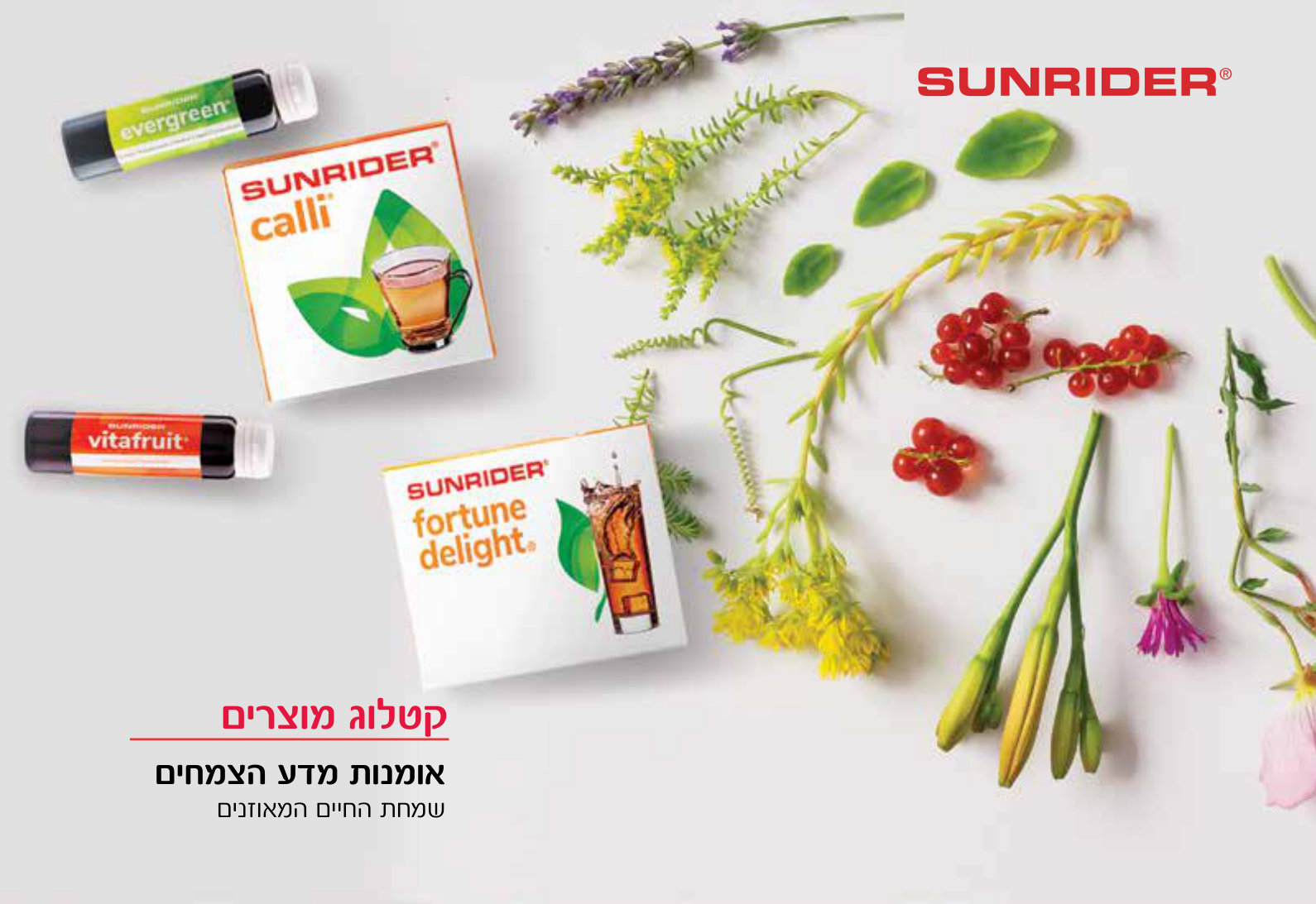 Sunrider PDF